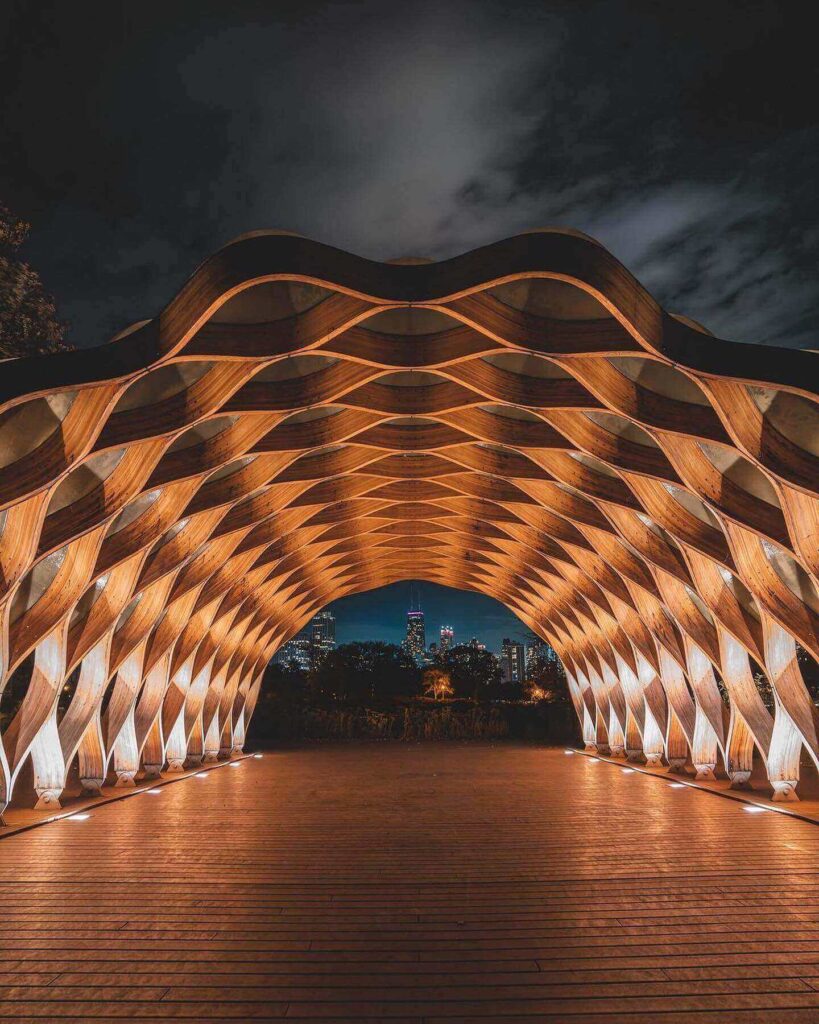 Curved wooden arches of the Honeycomb Pavilion at Lincoln Park Zoo