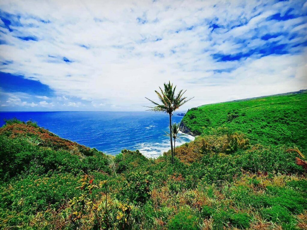 Scenic view of Pololū Valley with emerald cliffs and a black sand beach