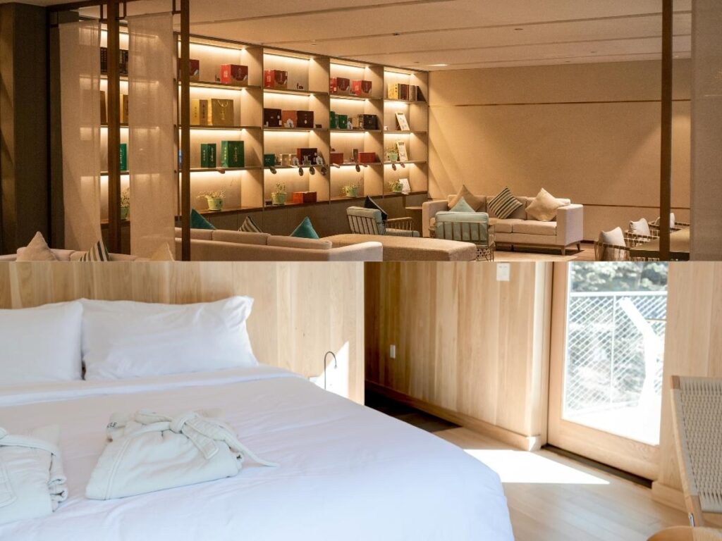 Comparison between Airbnb rental and boutique hotel room showing different accommodation options