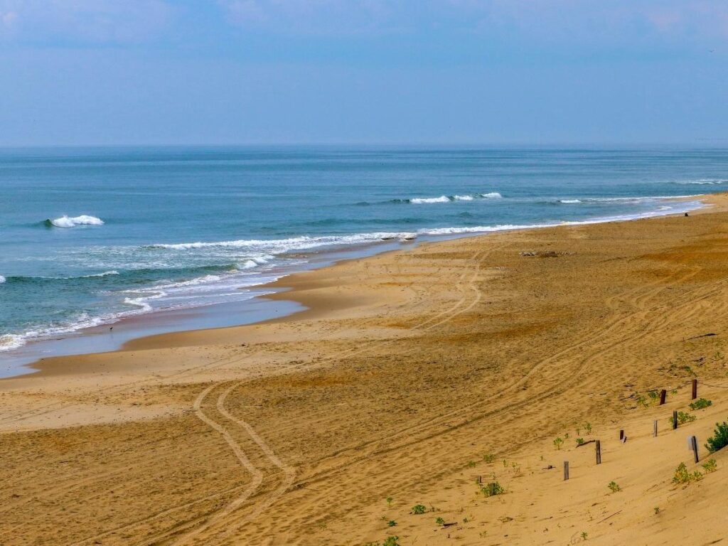 Sprawling sand dunes and beach along the Outer Banks coastline in Corolla, North Carolina