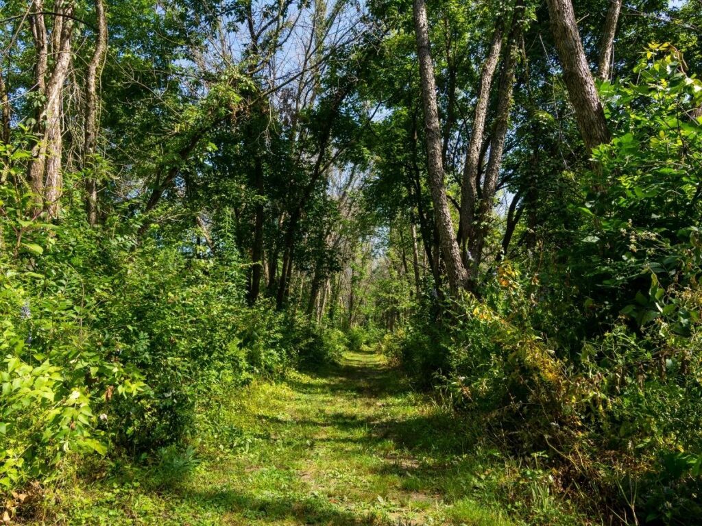 Scenic hiking trails and lake views at George Wyth State Park in Cedar Falls Iowa