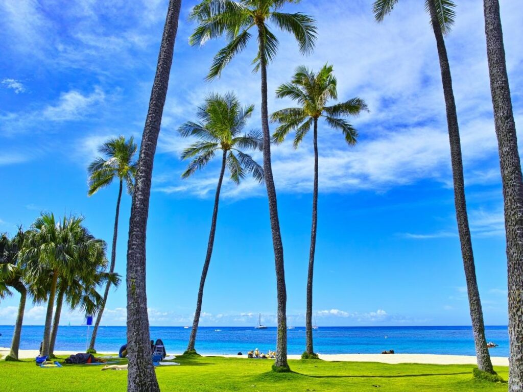 Peaceful beach scene with palm trees and golden sand in Hawaii for budget travelers