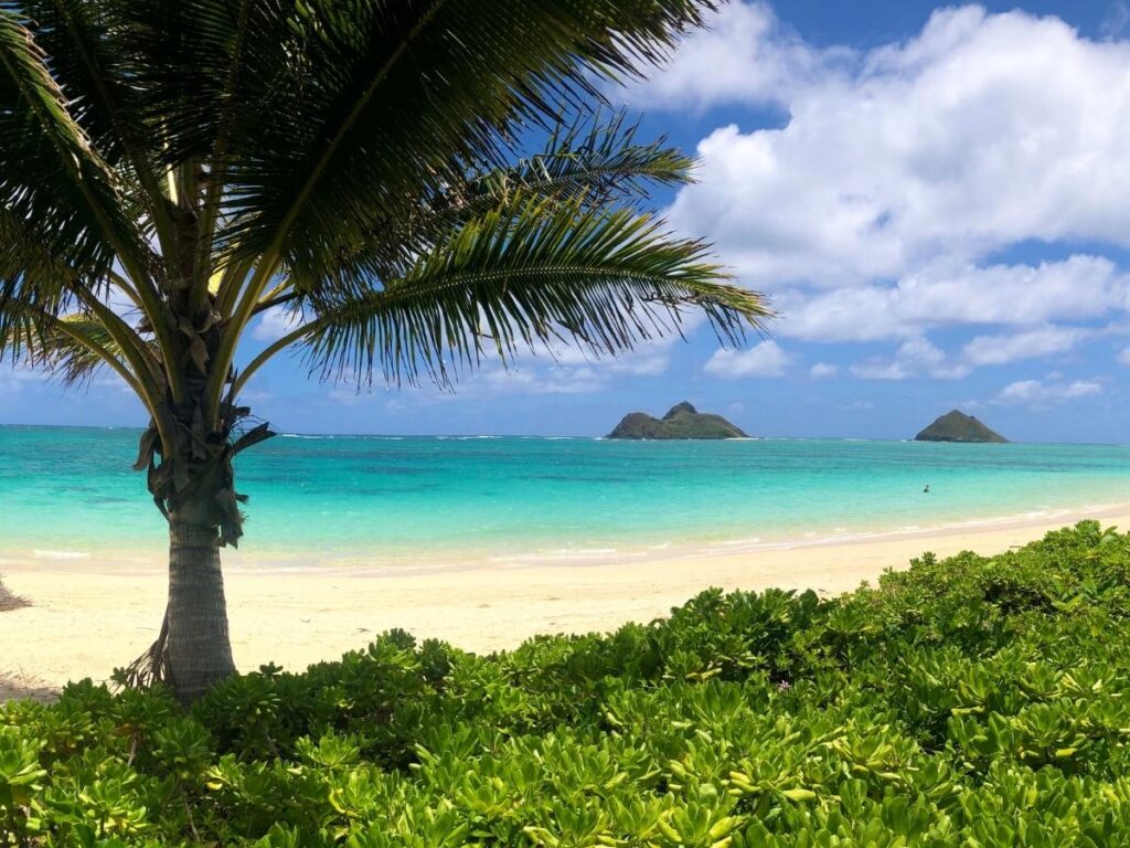 Palm-lined white sand beach with turquoise water and Mokulua Islands at Lanikai Beach, Oahu, Hawaii