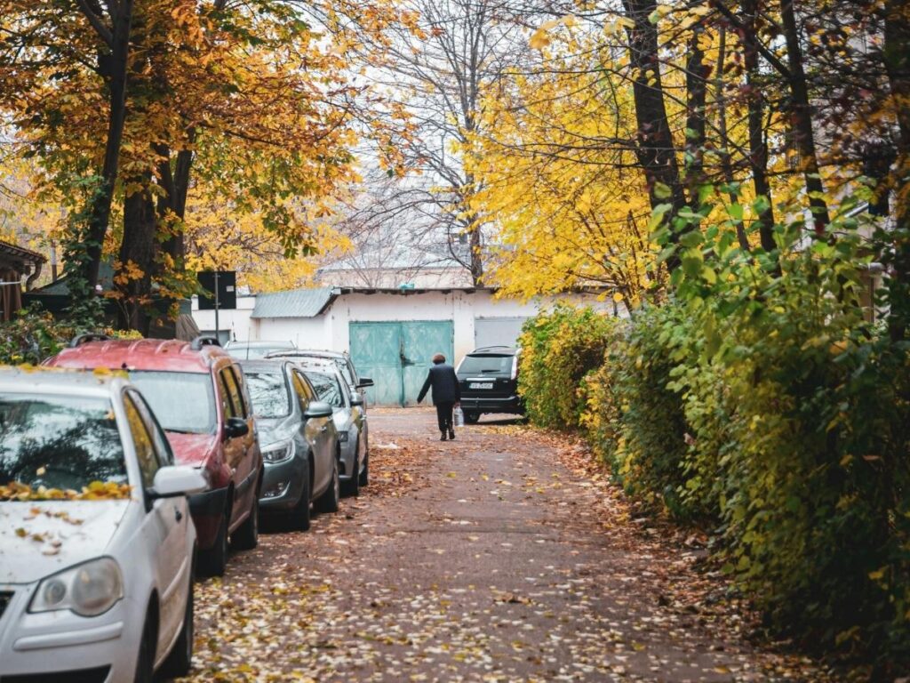Montreal neighbourhood street in autumn with maple trees and low-rise apartment buildings