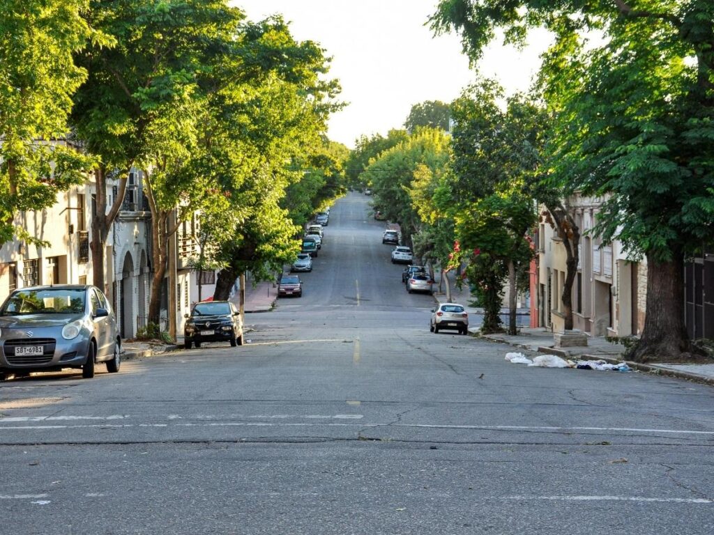 Neighborhood street in Birmingham Alabama