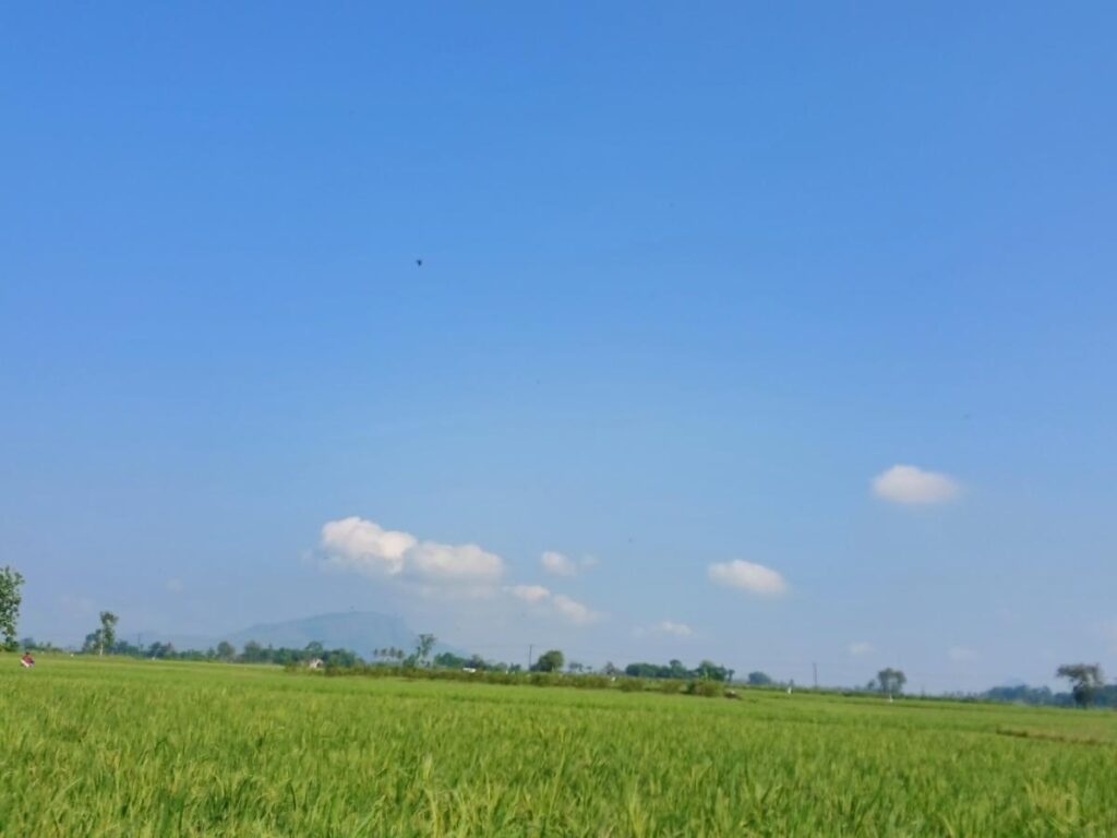 Rural countryside in Kentucky with open fields and farmland