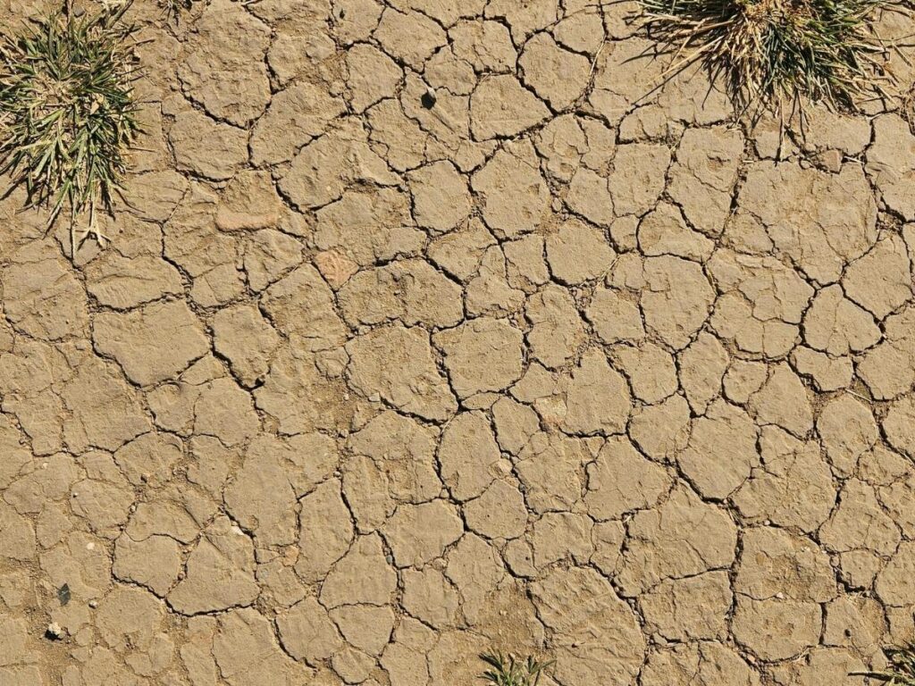 Dry desert landscape in rural New Mexico with sparse vegetation