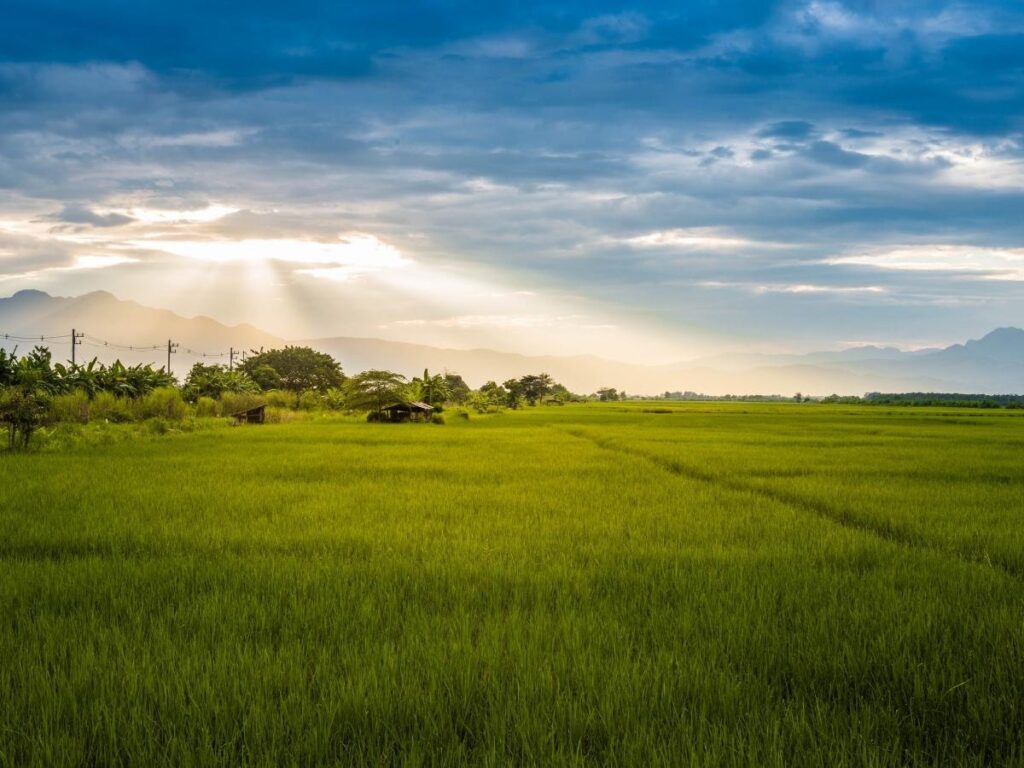 Small town on the Oklahoma plains with flat open land