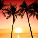 Waikiki Beach at sunset with palm trees and turquoise water in Honolulu Hawaii