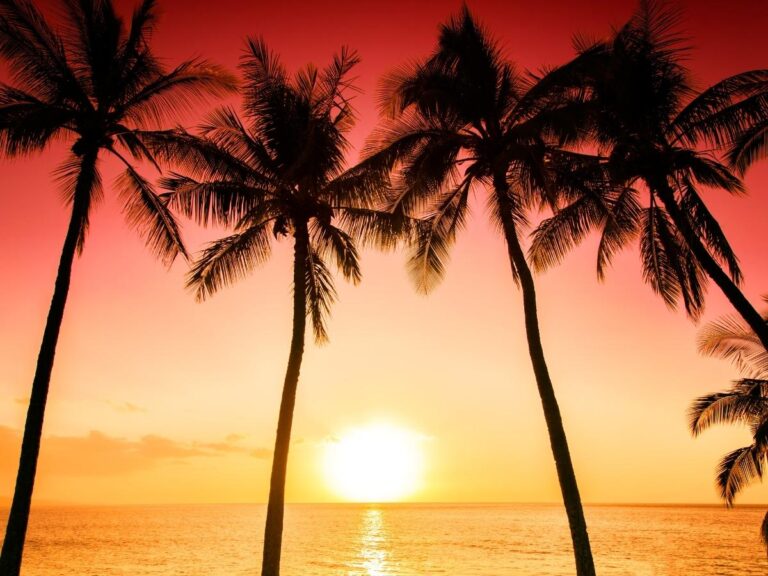 Waikiki Beach at sunset with palm trees and turquoise water in Honolulu Hawaii