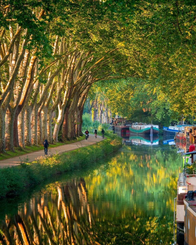 Tree-lined Canal du Midi in the countryside near Toulouse with walking path