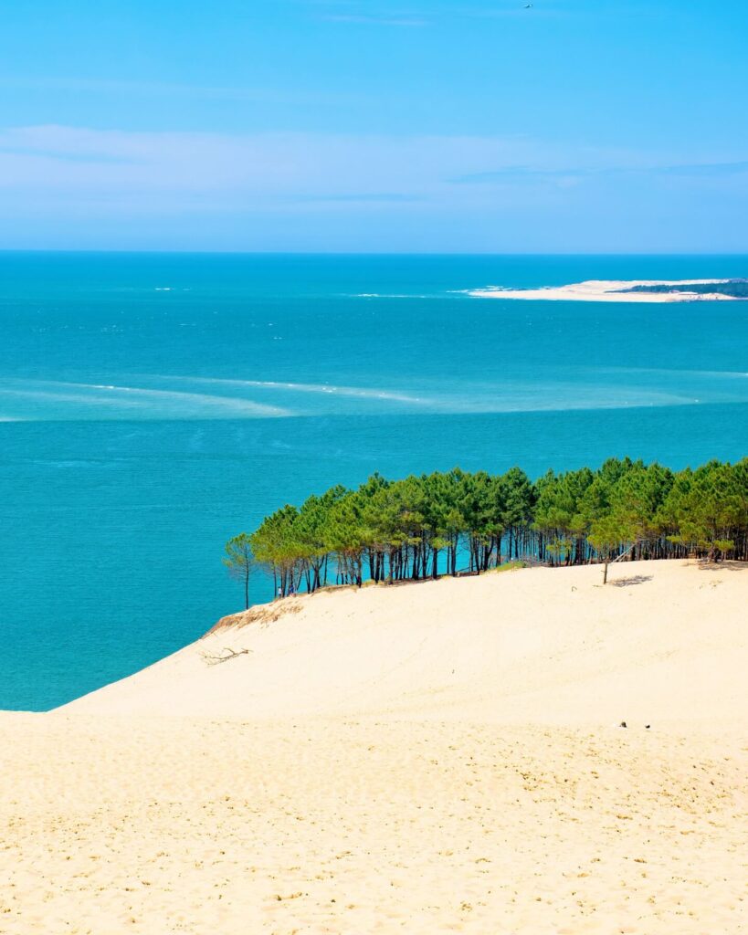View from Dune du Pilat overlooking ocean and forest in France