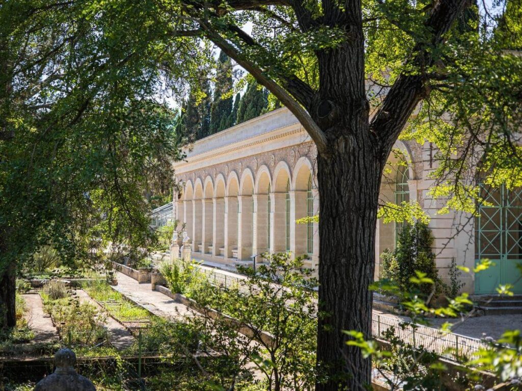 Shaded walkway in Jardin des Plantes Montpellier