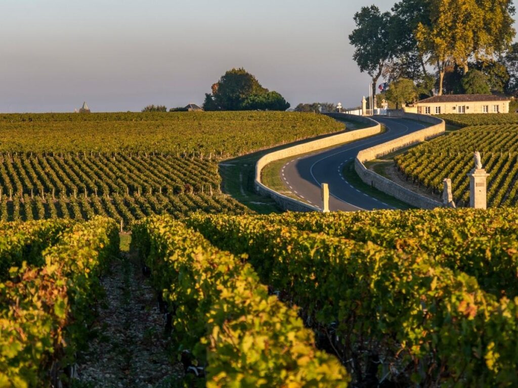Vineyards and winery estates in Medoc wine region near Bordeaux