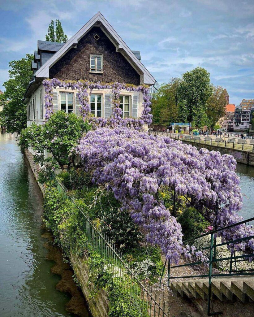 Covered bridges and towers in Strasbourg near Petite France