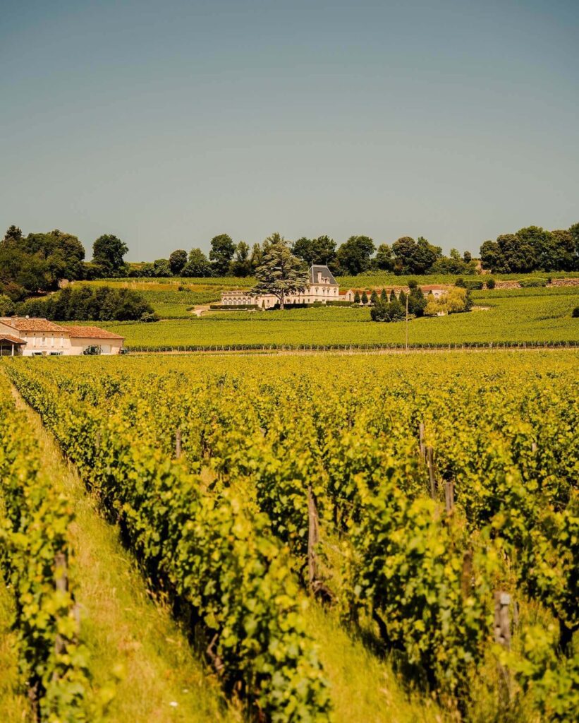 Stone streets and wineries in Saint Emilion France