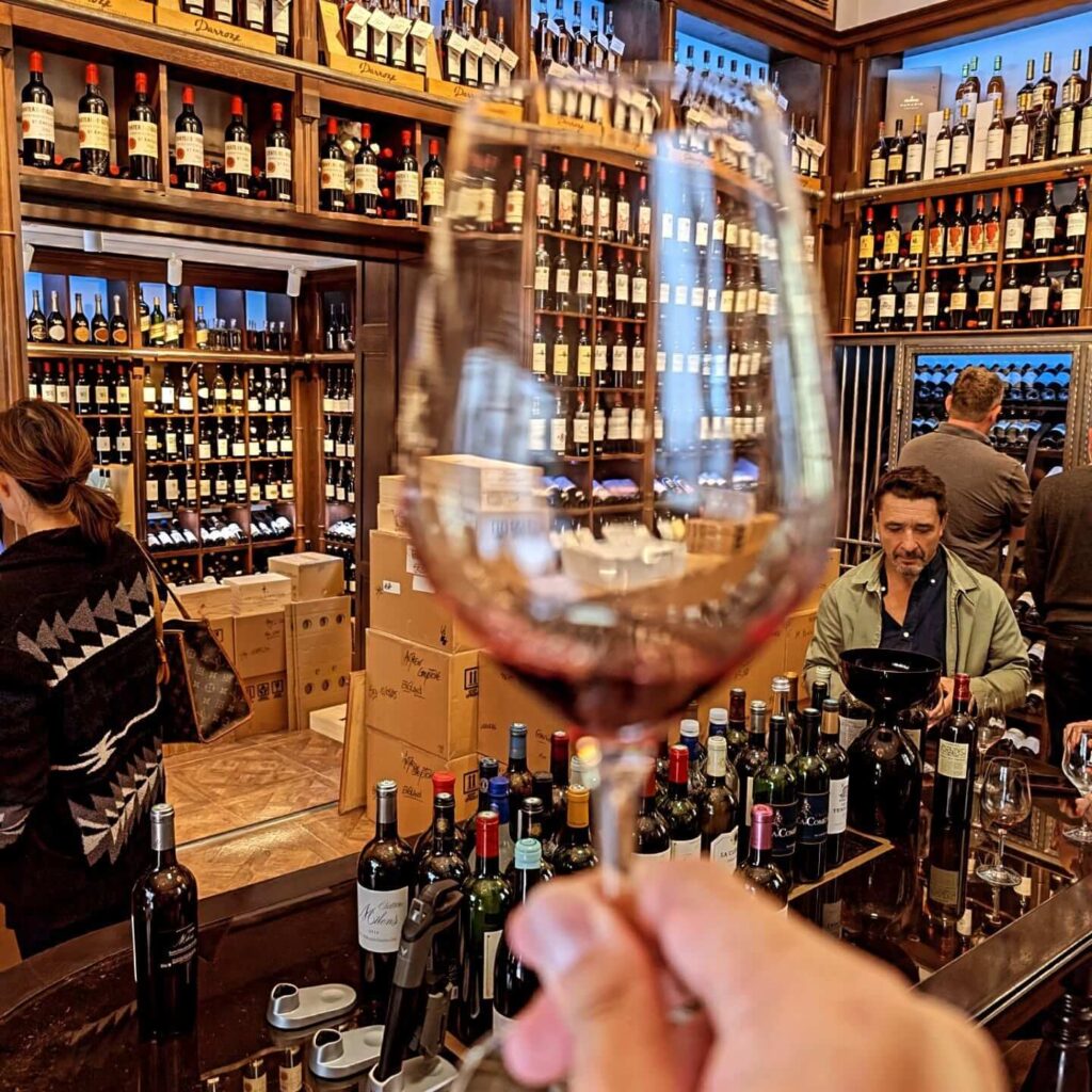 Wine tasting experience in Bordeaux with vineyard views