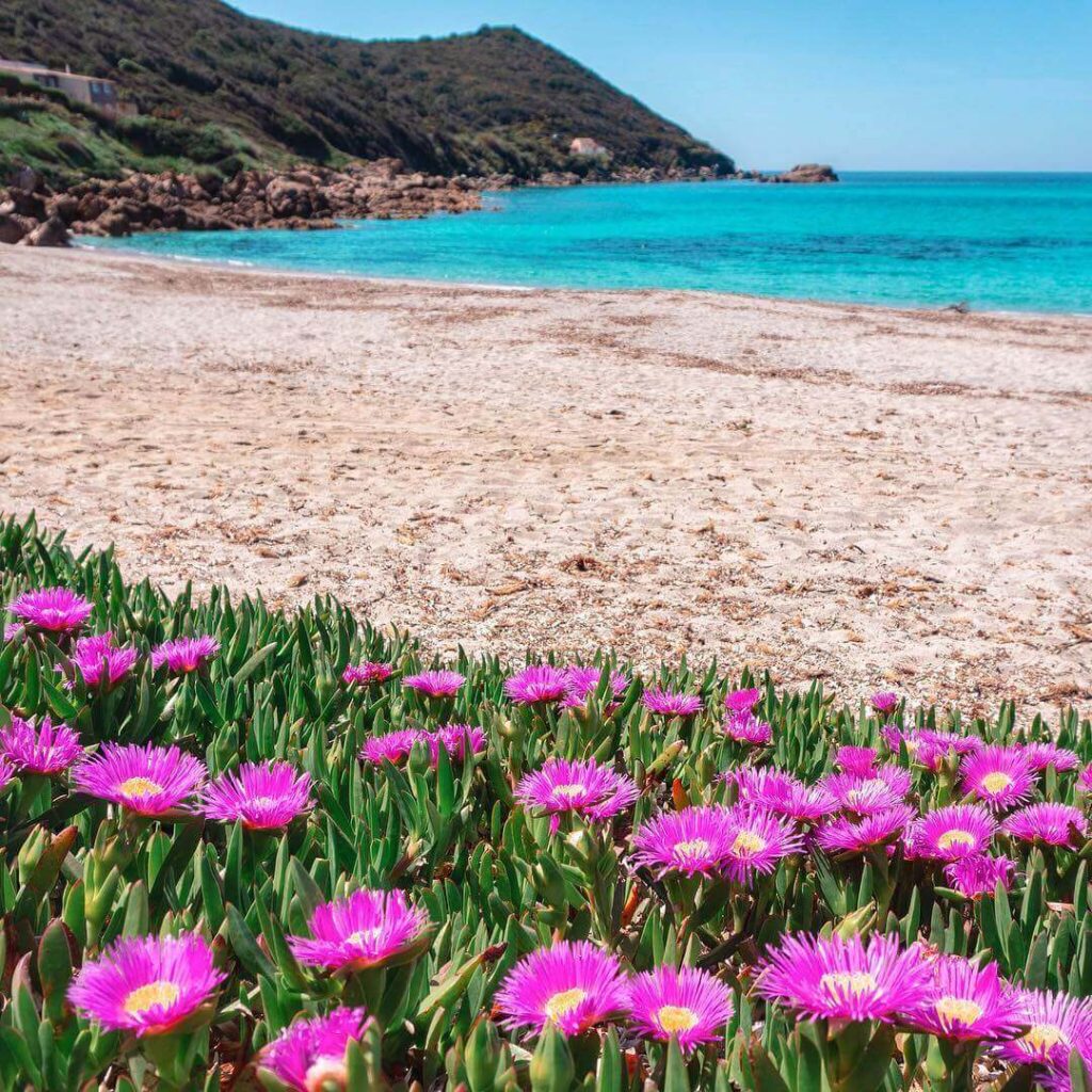 Beaches in Ajaccio including Trottel, Saint François, and Capo di Feno