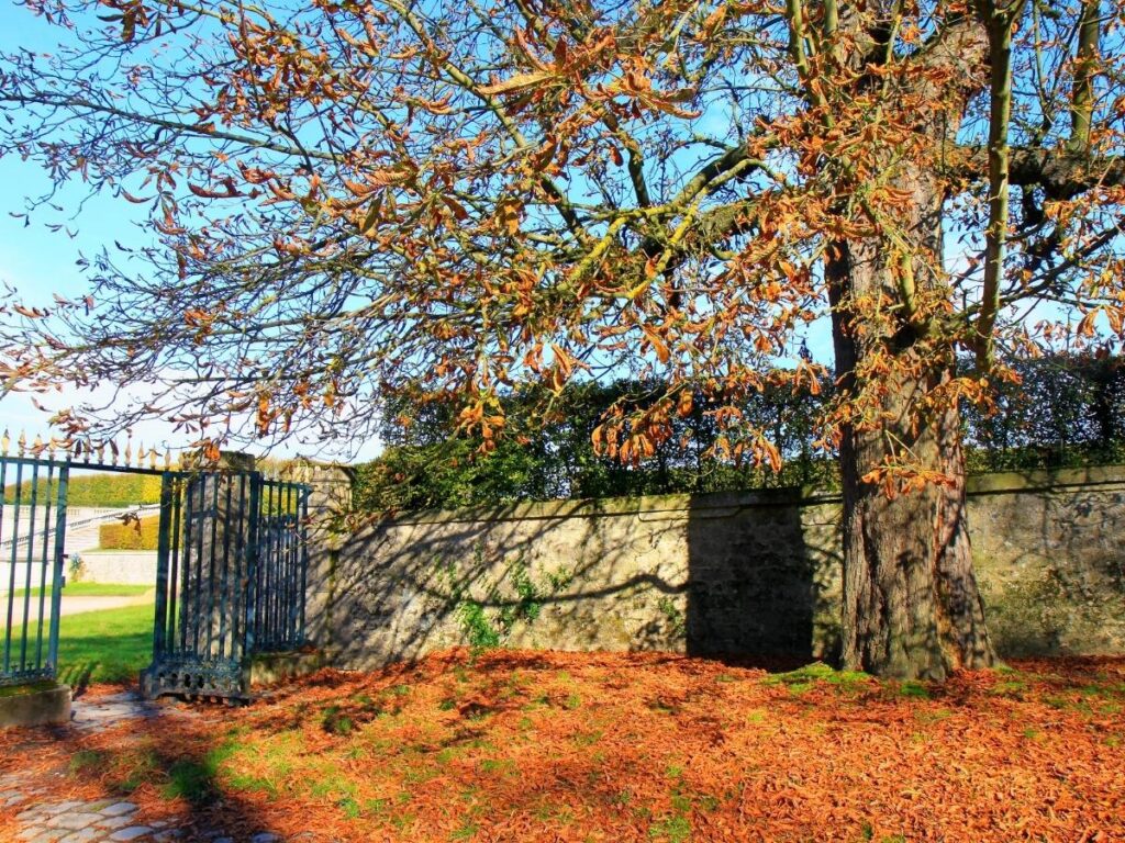 Amboise in autumn with quiet streets and fall colors