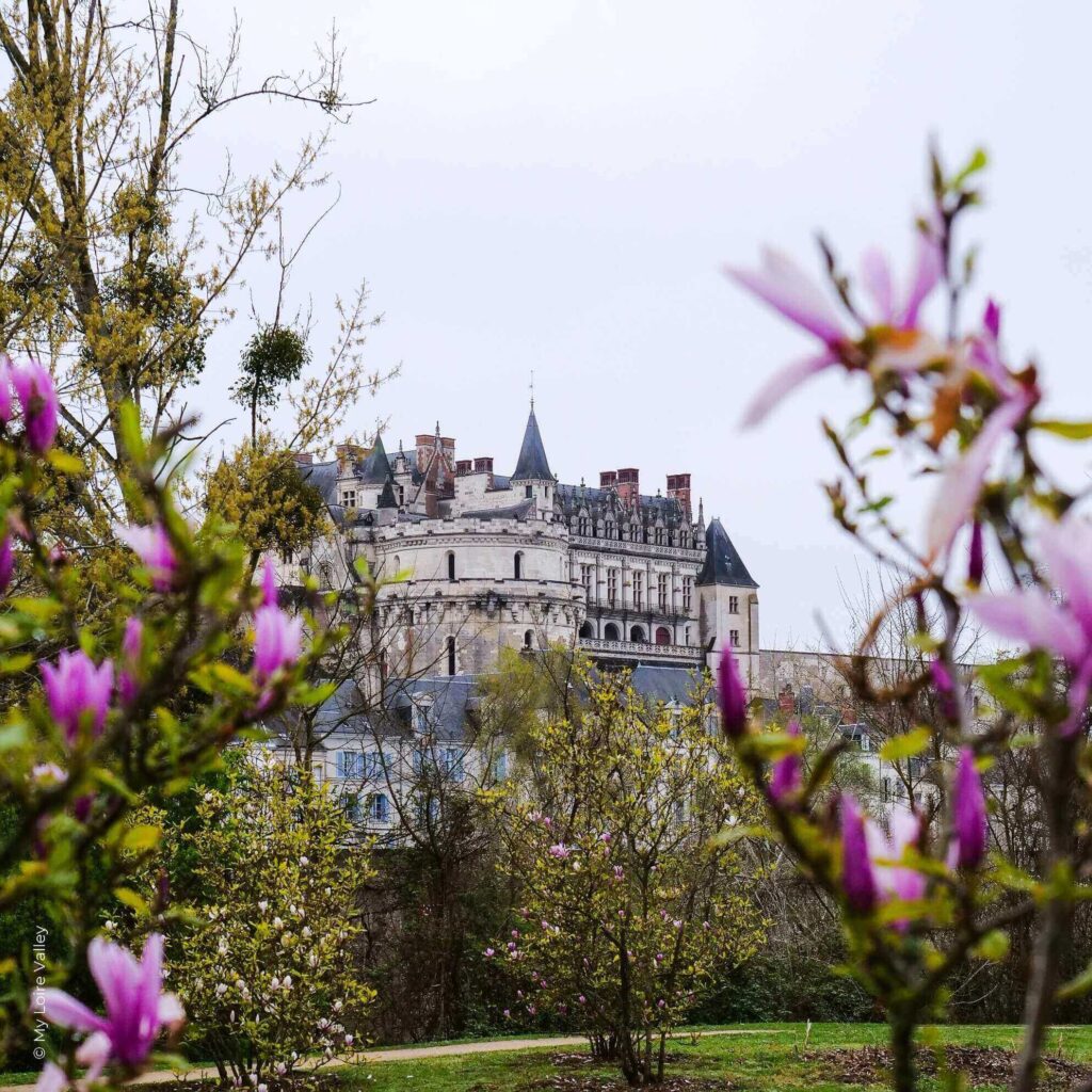 Amboise in spring with flowers and mild weather