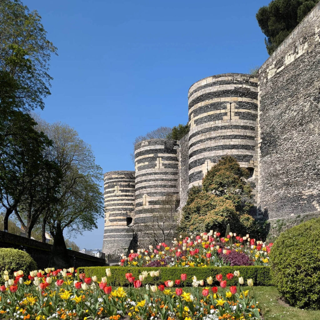Angers in spring with blooming trees and mild weather