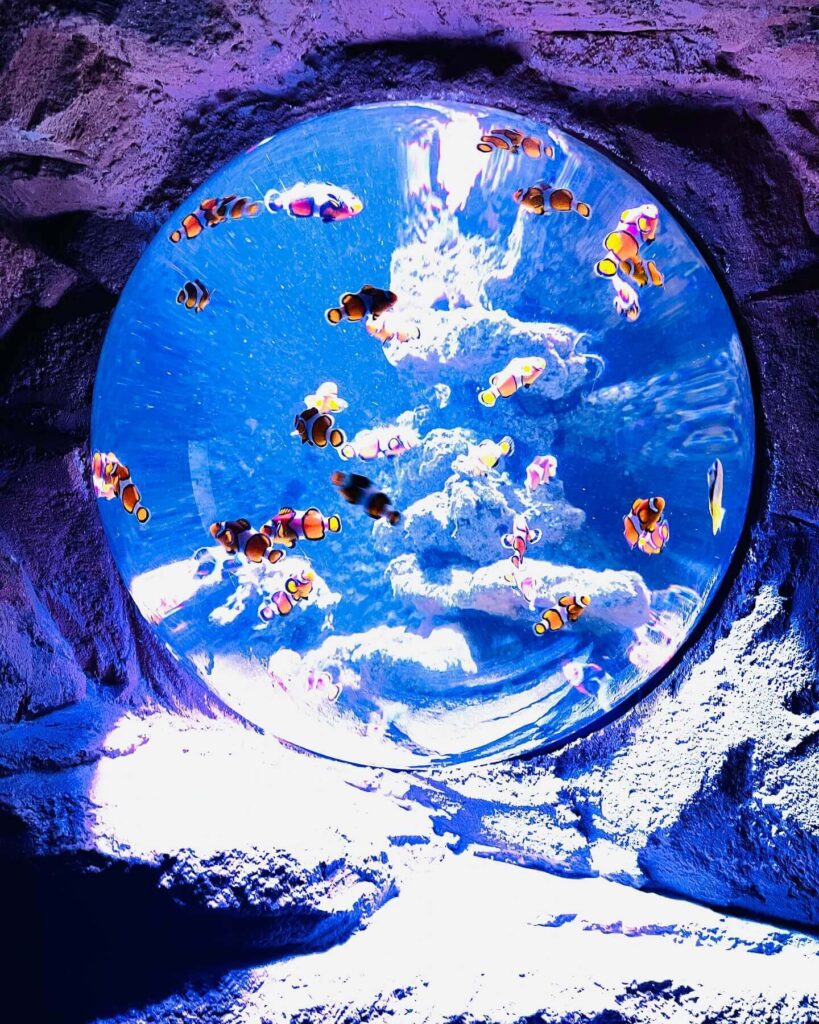 Aquarium de Biarritz with marine life exhibits