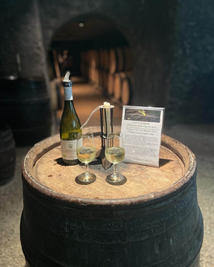 Wine tasting experience in Beaune with Burgundy wines