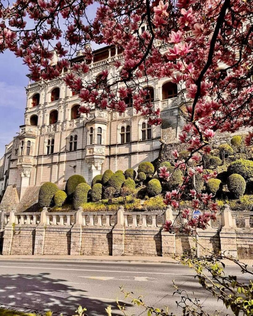 Blois in spring with flowers and Loire River