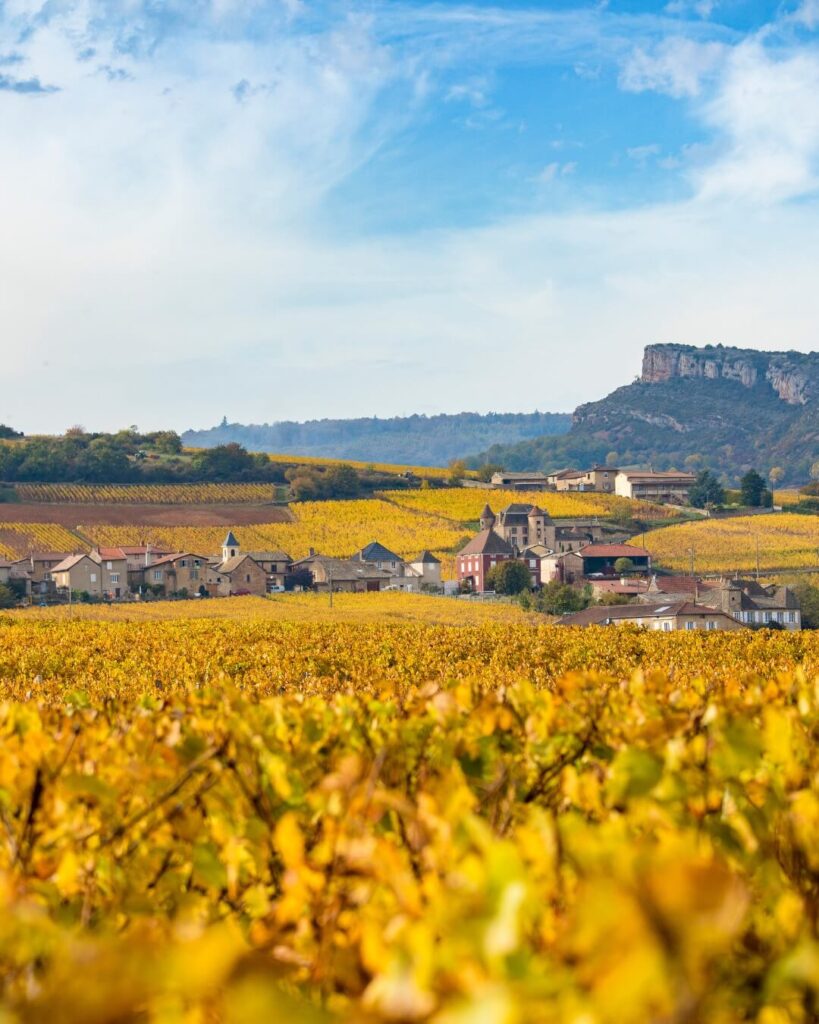 Burgundy vineyards near Beaune with warm autumn colors during harvest season