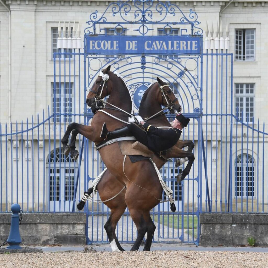Cadre Noir equestrian performance in Saumur with trained horses