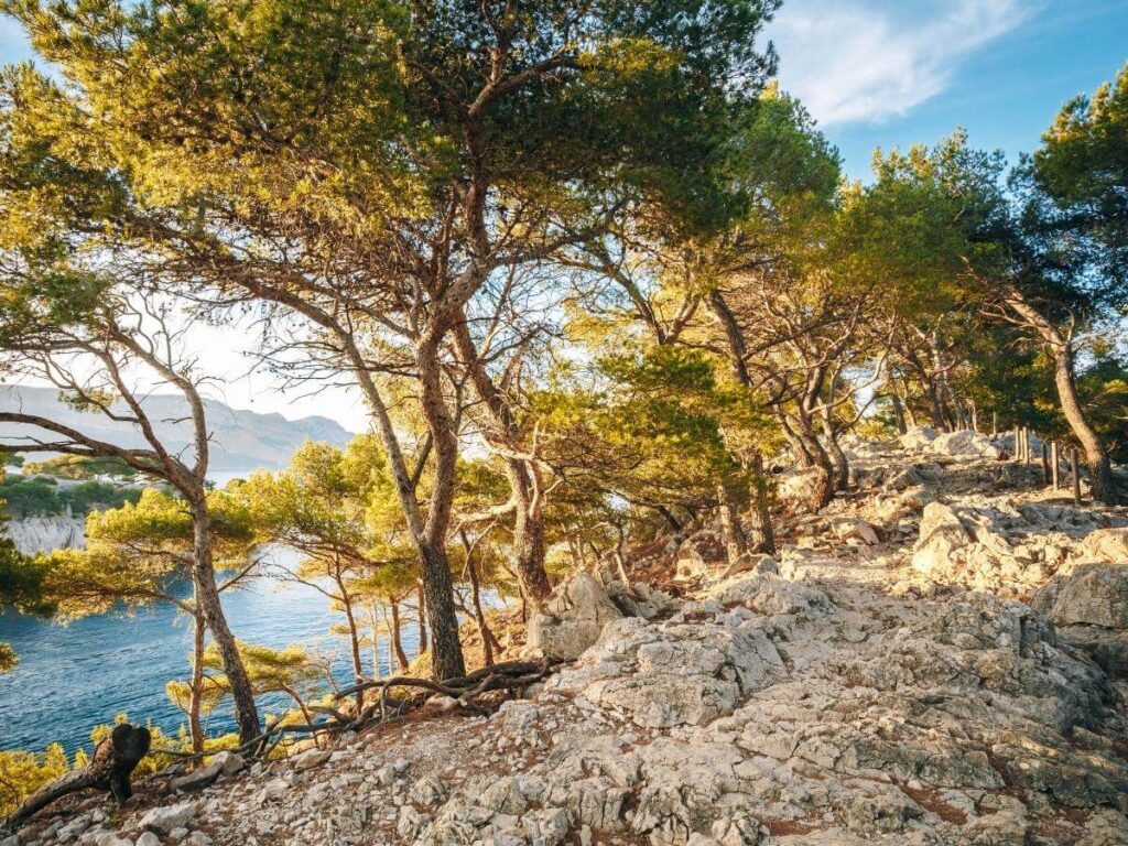 Rocky and uneven trail conditions in the calanques near Cassis