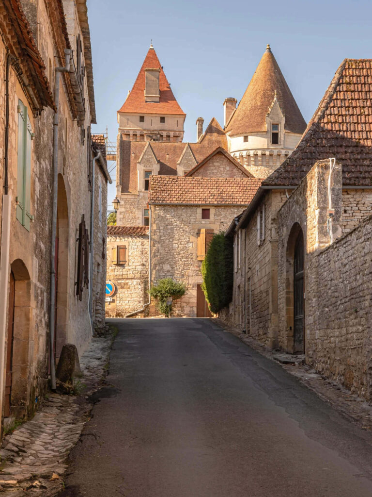 Château de Chinon stretching along the hill above the town