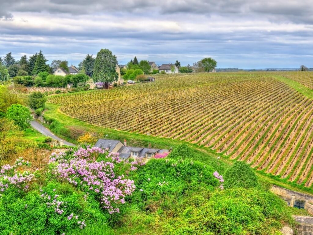 Chinon in spring with green landscapes and vineyards in the Loire Valley