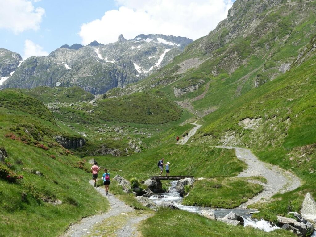 Hiking trails in Megève with green alpine landscape and wildflowers