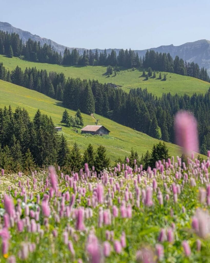 Megève in summer with green alpine landscape