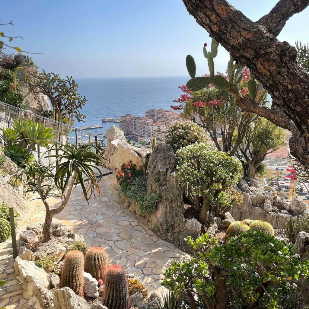 Panoramic view of Monaco from Jardin Exotique