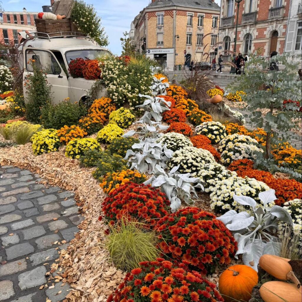 Orléans France street in spring with trees and mild weather