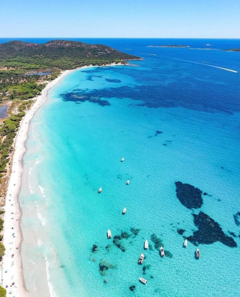 Palombaggia Beach with soft sand, clear water and pine trees in Corsica