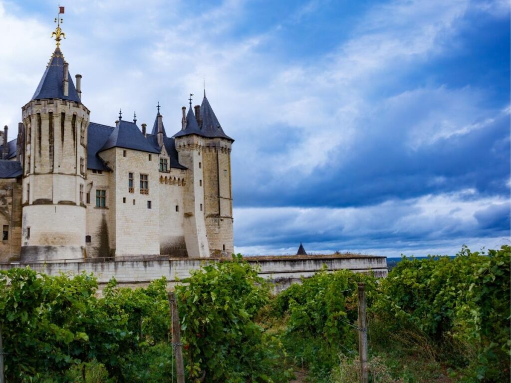 Countryside near Saumur with vineyards and quiet surroundings
