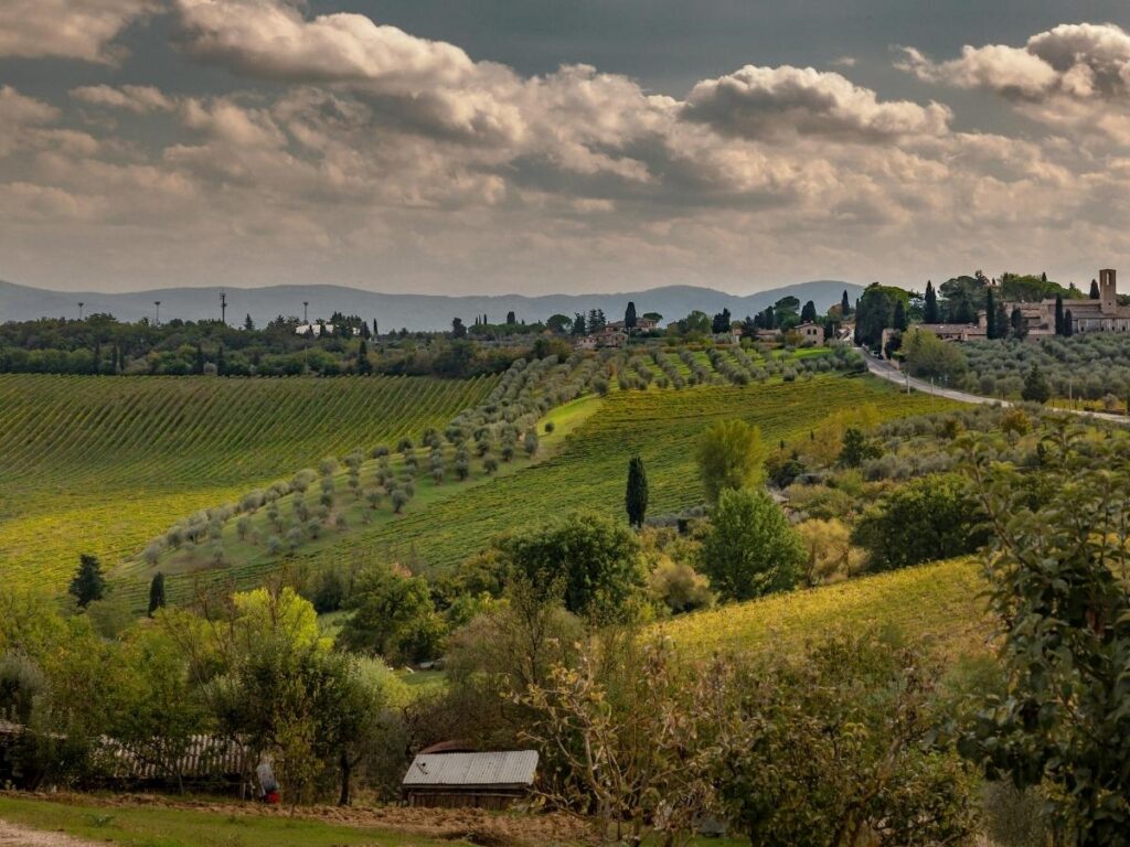 Saumur across different seasons including  autumn