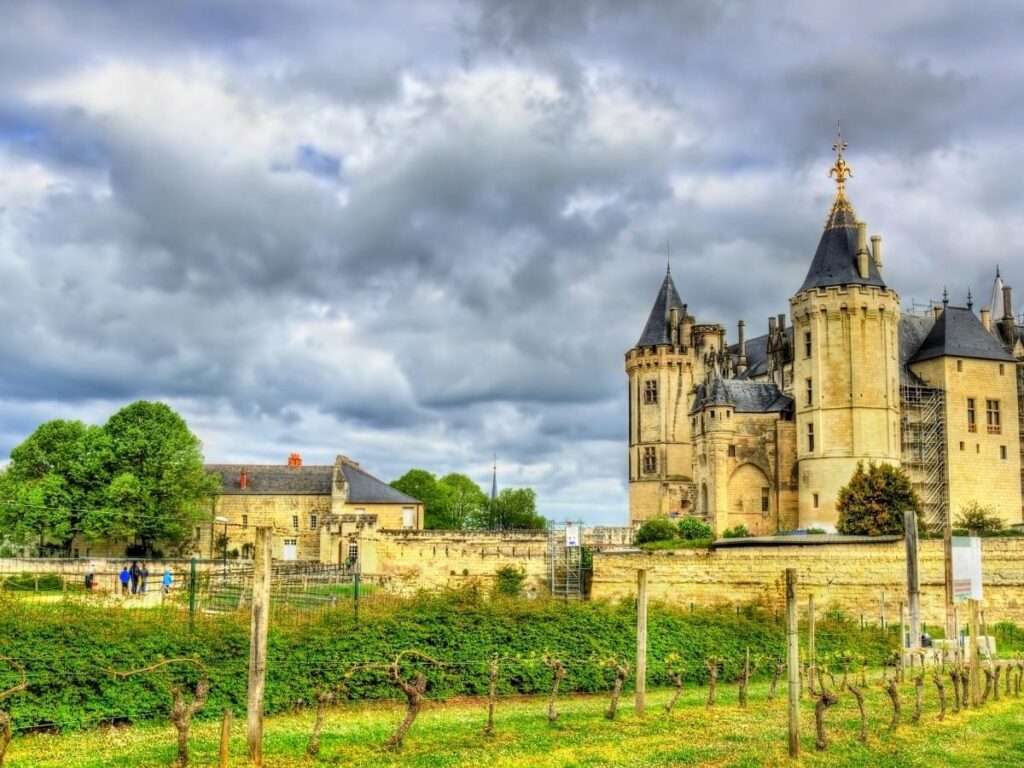 Vineyards near Saumur in the Loire Valley countryside