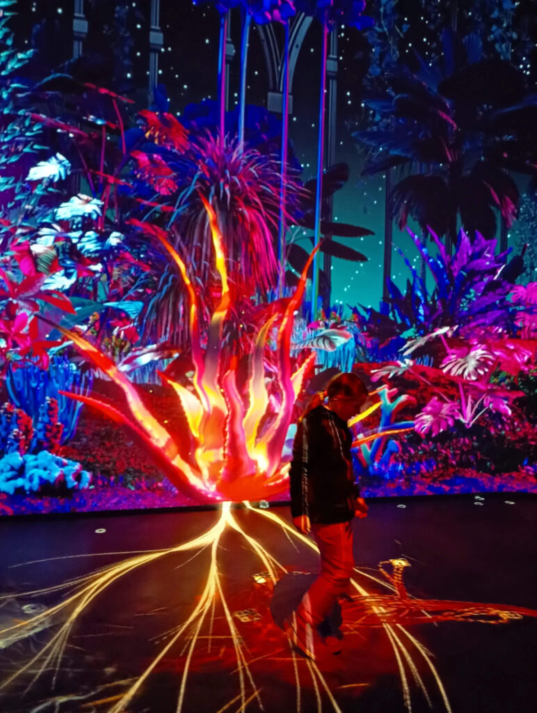 Nighttime show at Futuroscope with projections and special effects