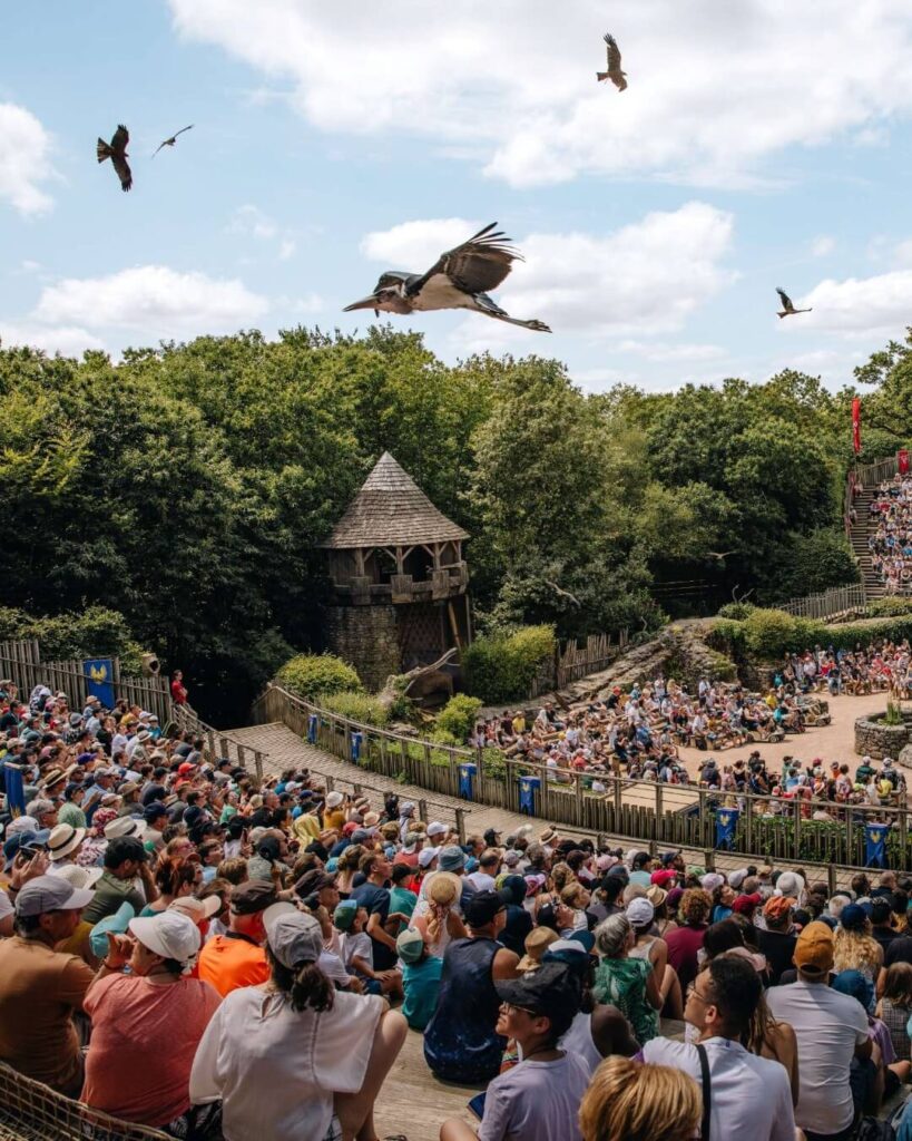 Birds of prey flying above the audience at Puy du Fou