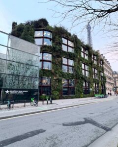 Everything You Need to Know About Musée du quai Branly
