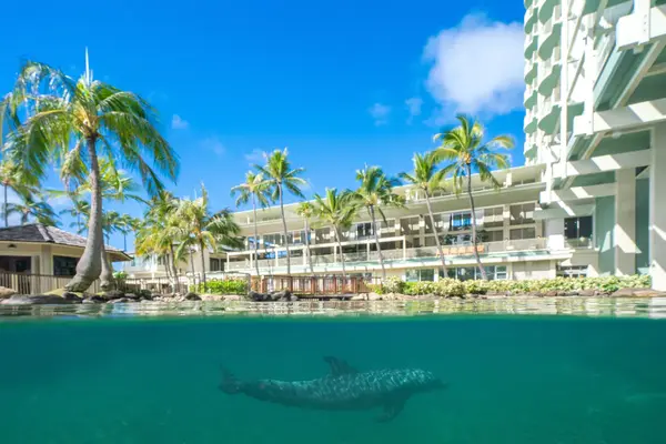 Luxury beachfront view of The Kahala Hotel & Resort showcasing tropical surroundings, ocean views, and elegant resort architecture in Hawaii.