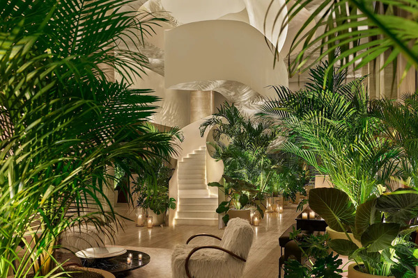 Exterior view of The Tampa EDITION showcasing its modern luxury design and stylish downtown atmosphere at night.