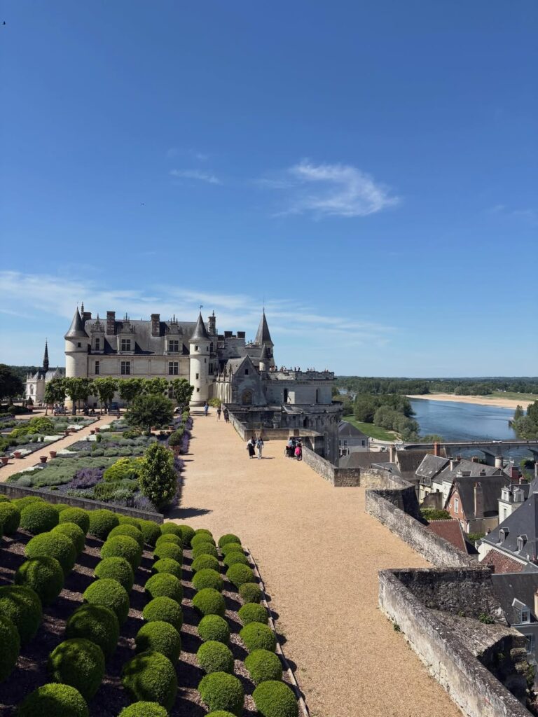 Morning view of Château d'Amboise above the Loire River