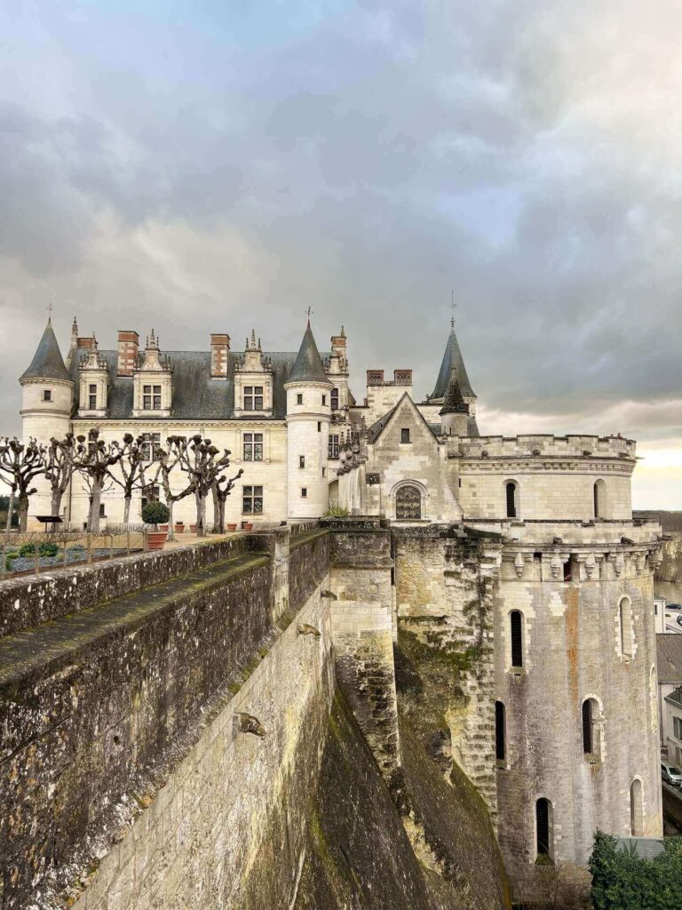Panoramic view of the Loire River from Château d'Amboise terraces