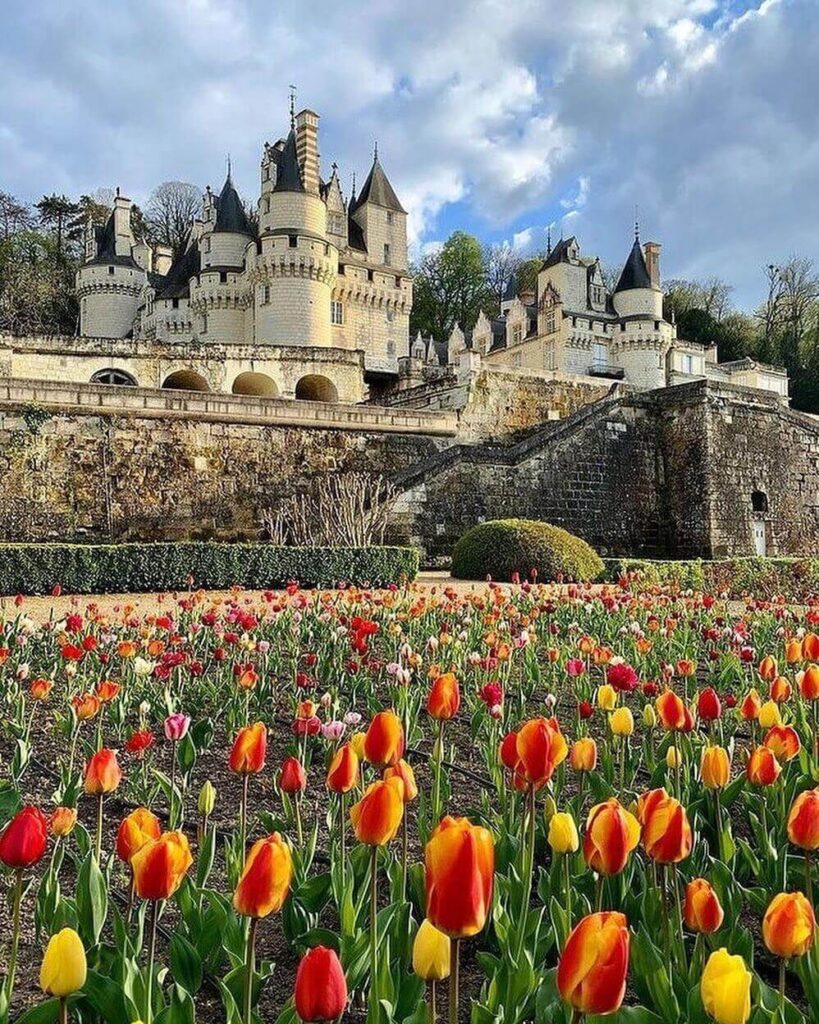 Château d'Ussé surrounded by blooming gardens in spring