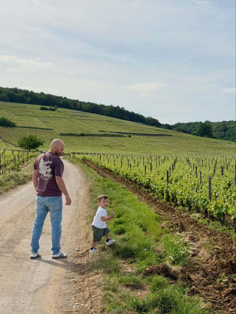Burgundy vineyards connected to Hospices de Beaune wine estate